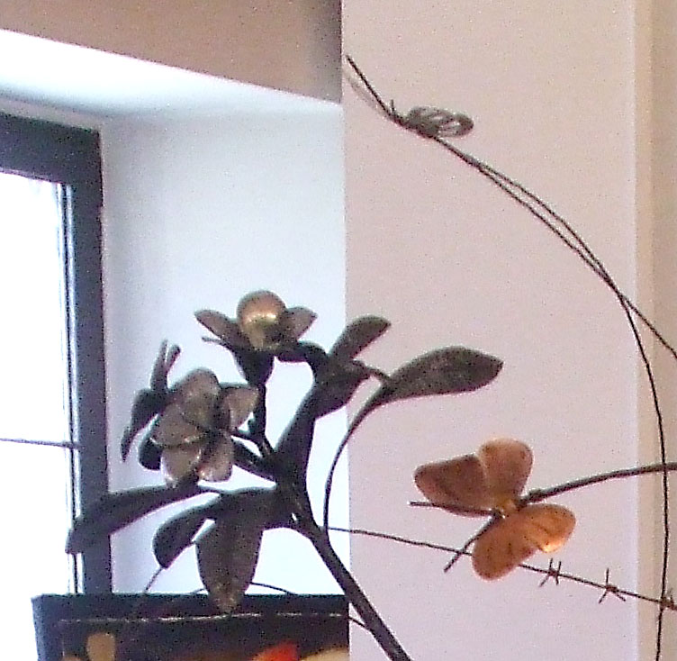 6